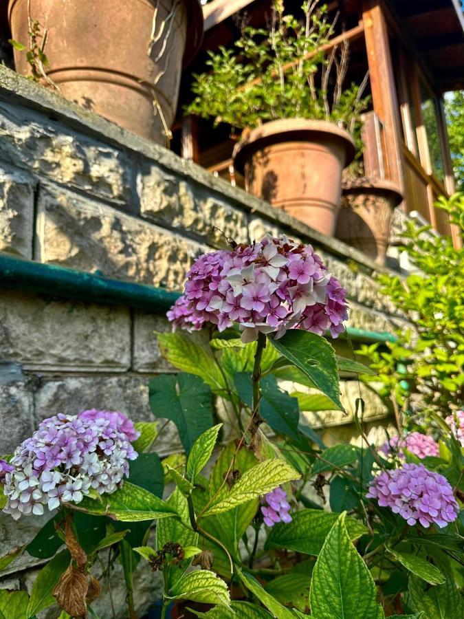 Otantik Havalimanina Yakin Villa Arnavutkoy Exterior foto